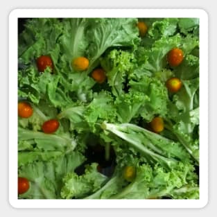 Lettuce and Cherry tomato salad greens. Magnet